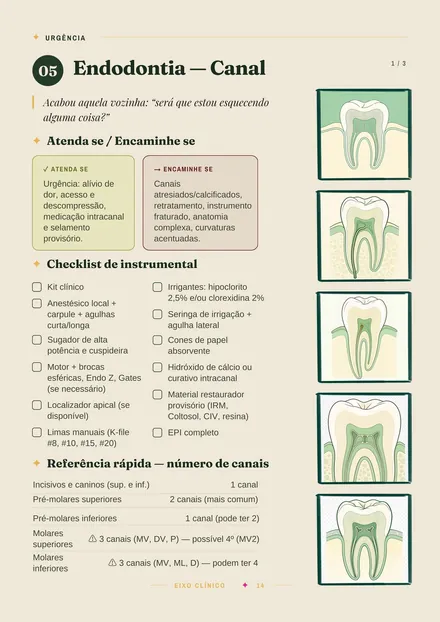 Página do protocolo com desenhos de referência