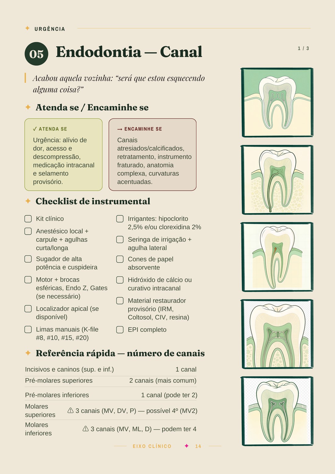 Página sobre endodontia — canal, com referência de número de canais